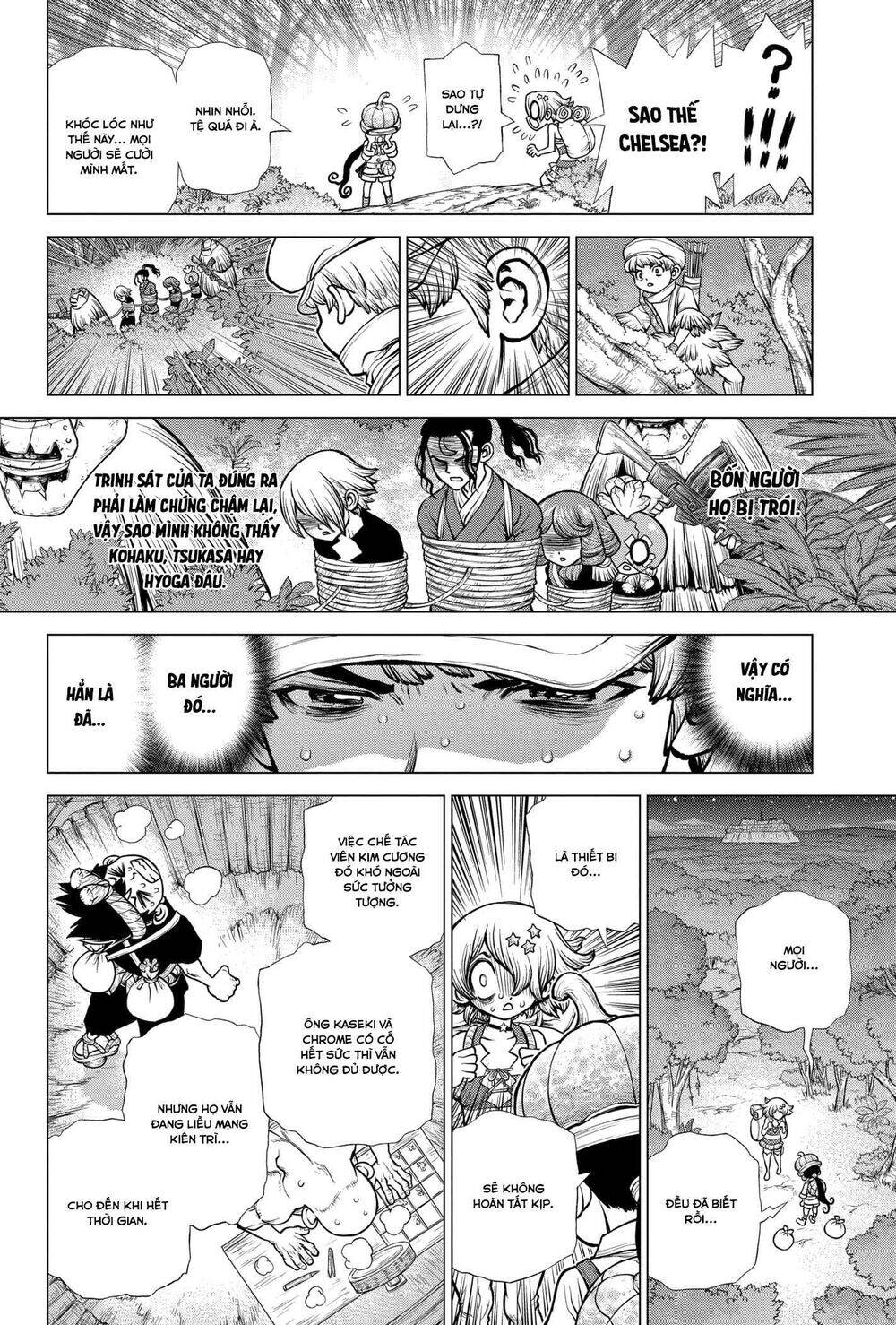 Dr.Stone Chapter 189 - Trang 2