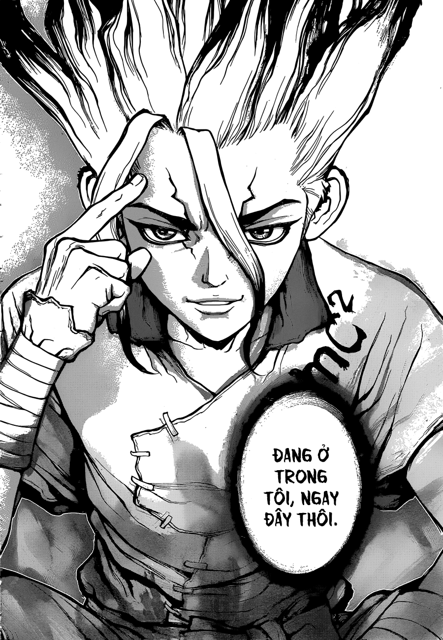 Dr.Stone Chapter 19 - Trang 2