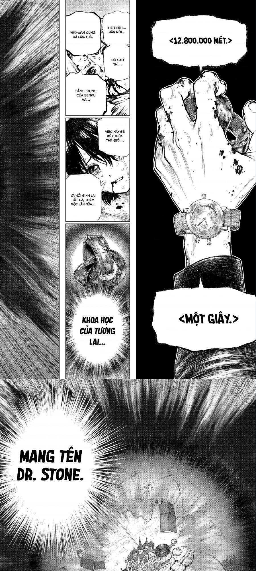 Dr.Stone Chapter 191 - Trang 2