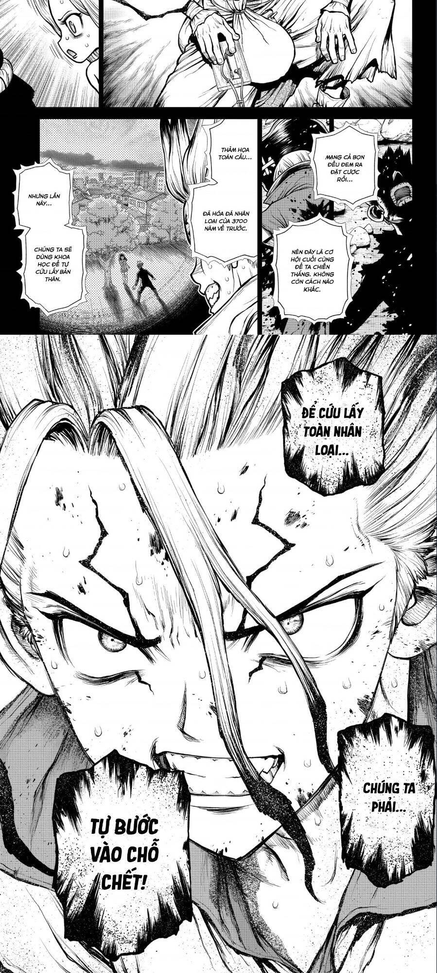 Dr.Stone Chapter 191 - Trang 2