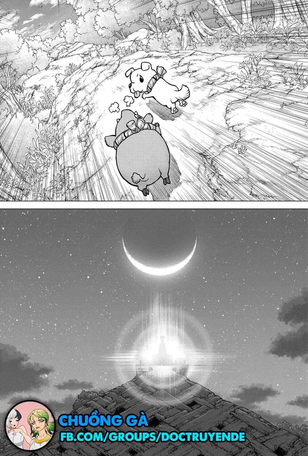 Dr.Stone Chapter 193 - Trang 2