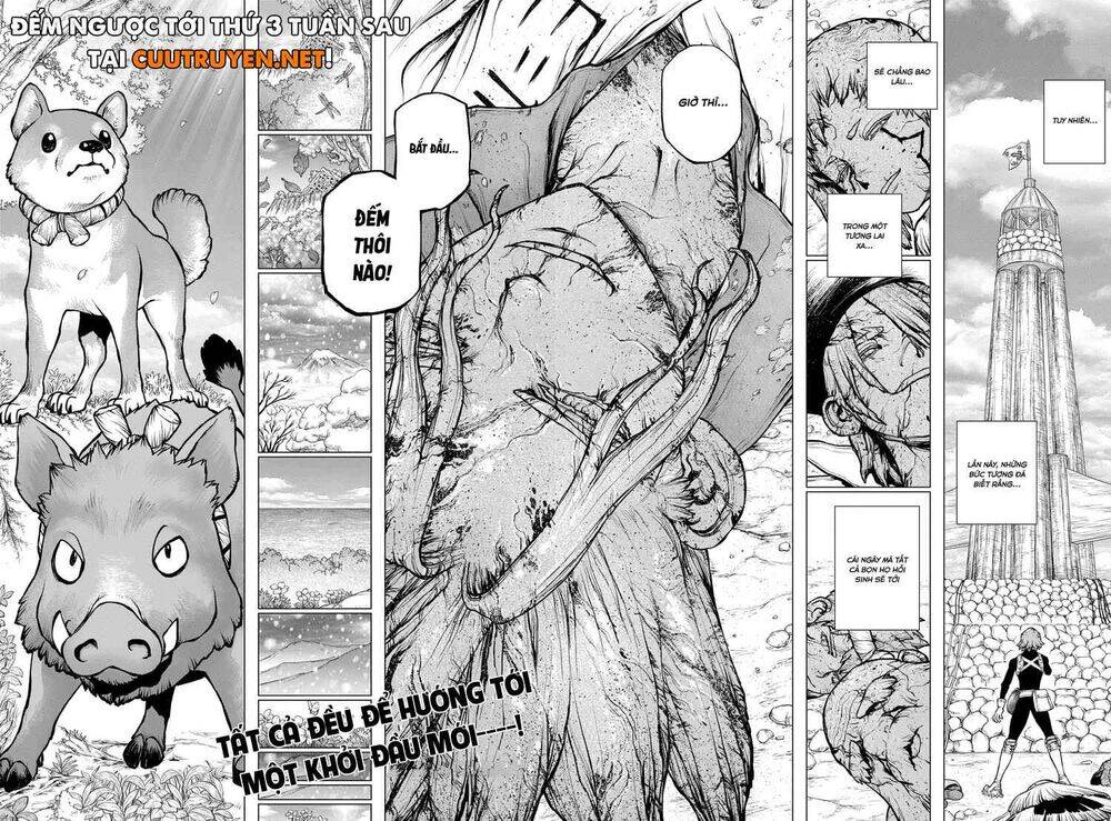 Dr.Stone Chapter 193 - Trang 2