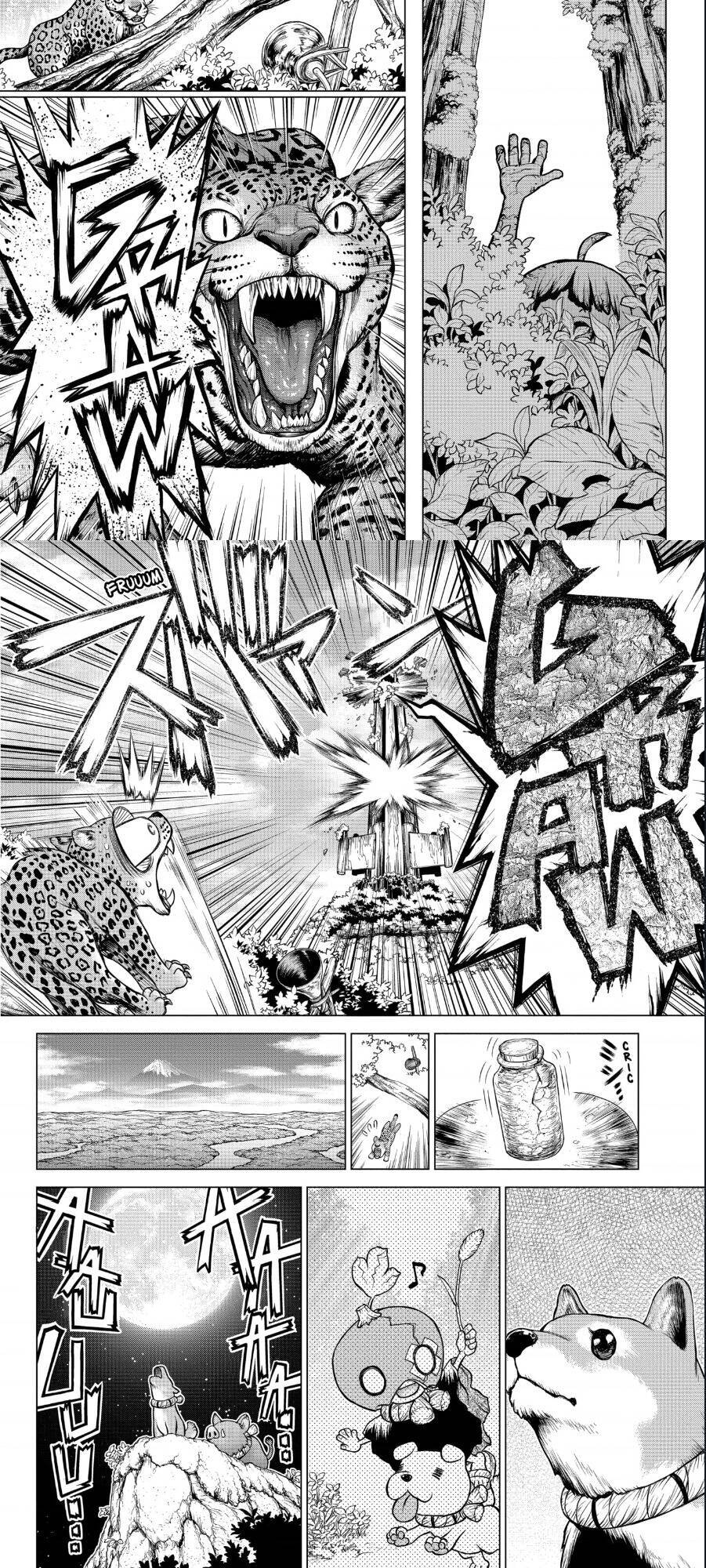Dr.Stone Chapter 194 - Trang 2