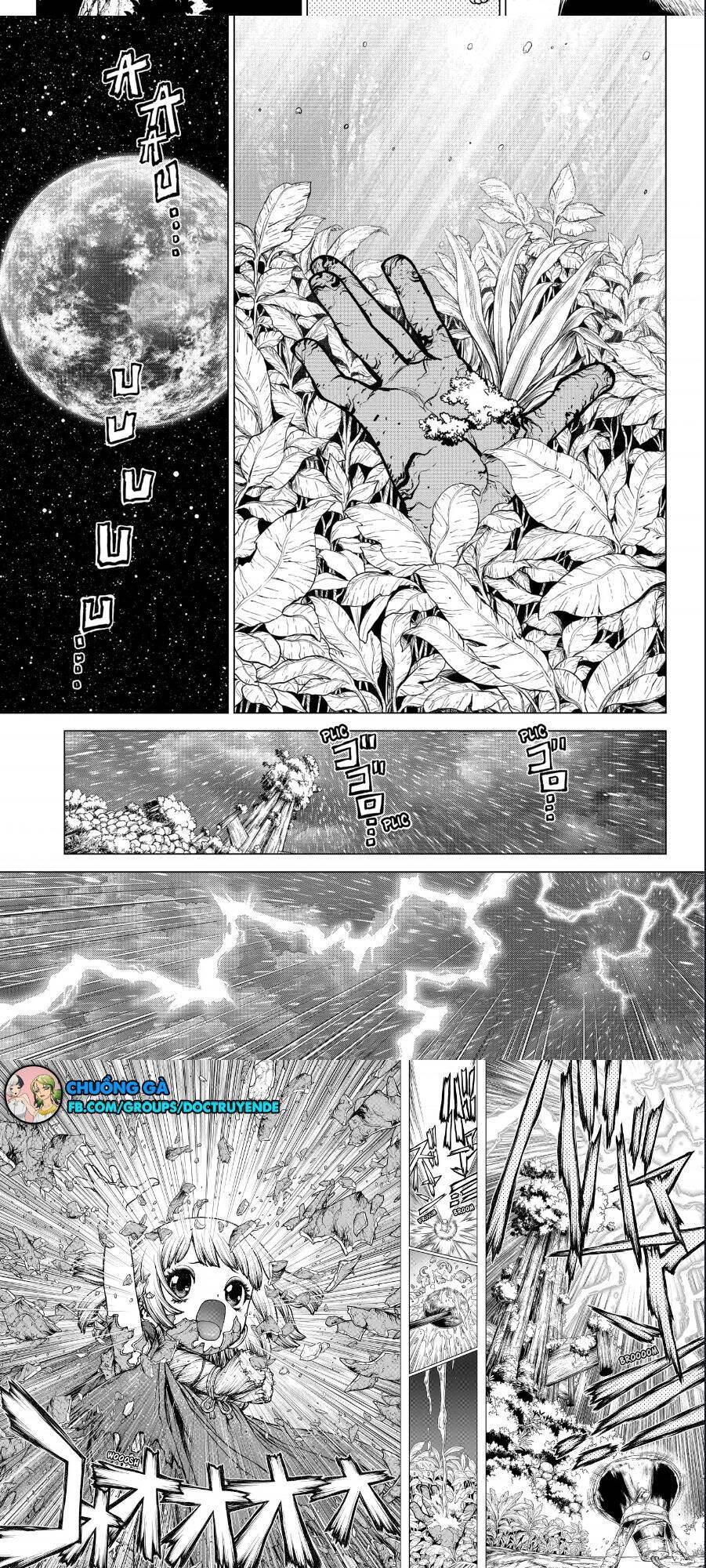 Dr.Stone Chapter 194 - Trang 2