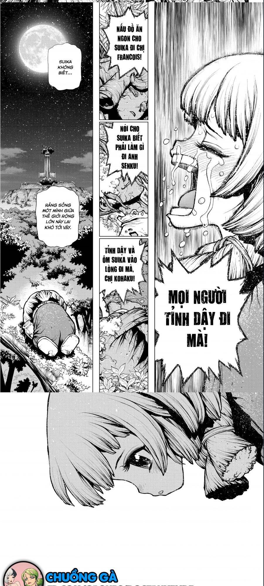 Dr.Stone Chapter 194 - Trang 2