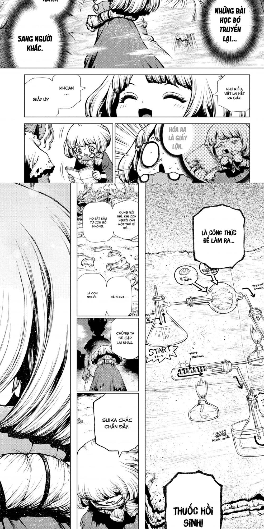 Dr.Stone Chapter 195 - Trang 2