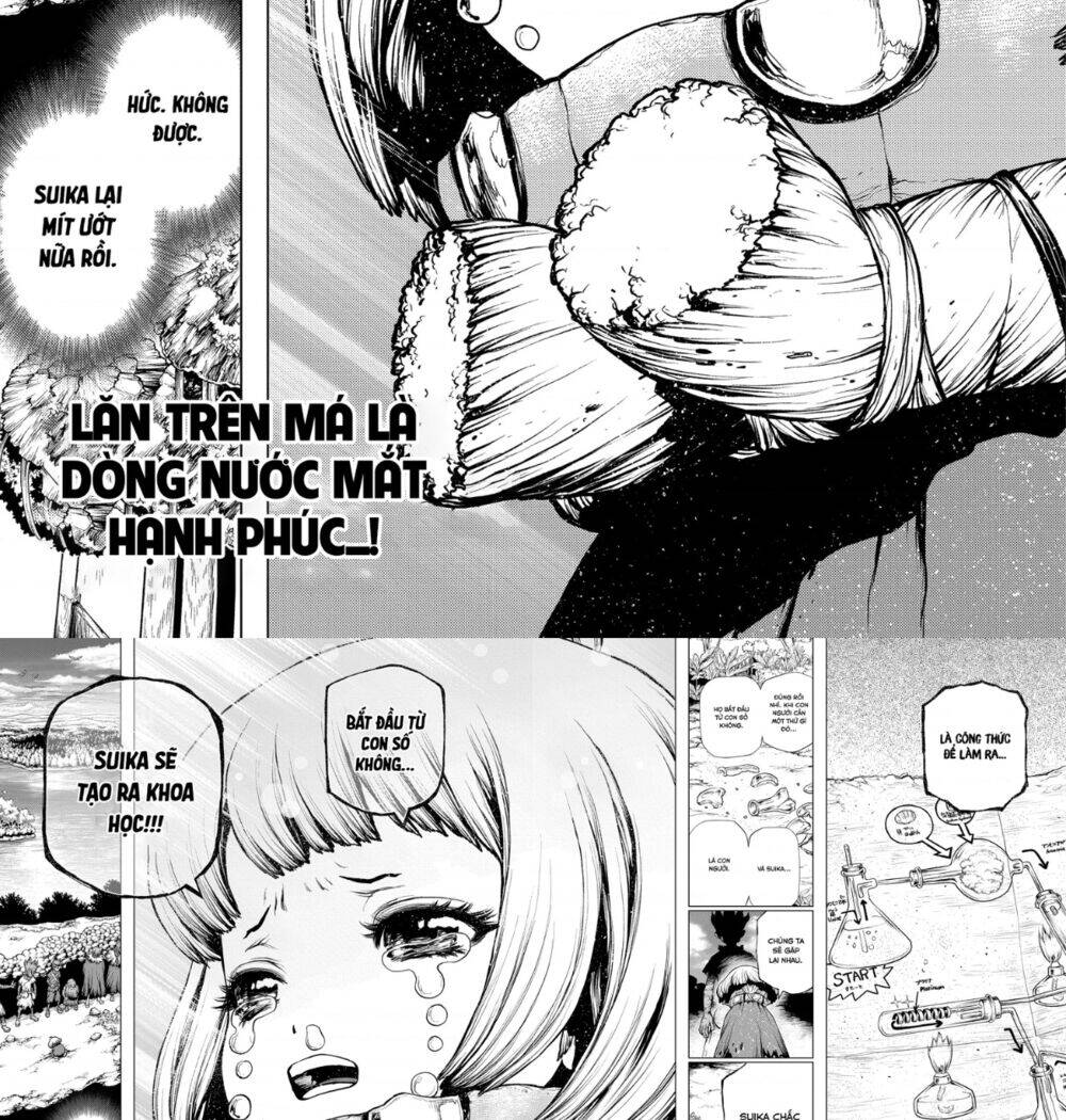 Dr.Stone Chapter 195 - Trang 2