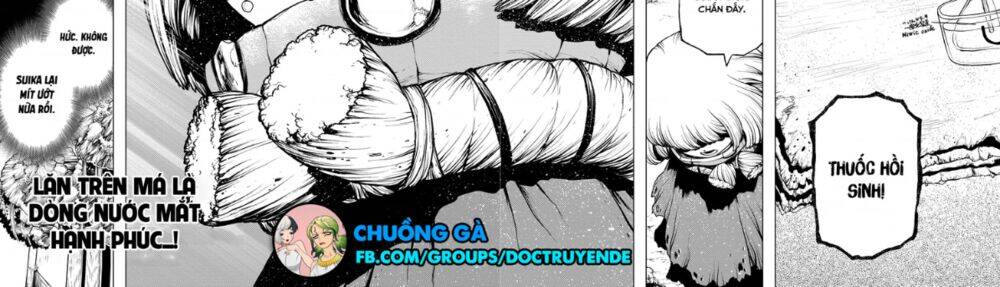 Dr.Stone Chapter 195 - Trang 2
