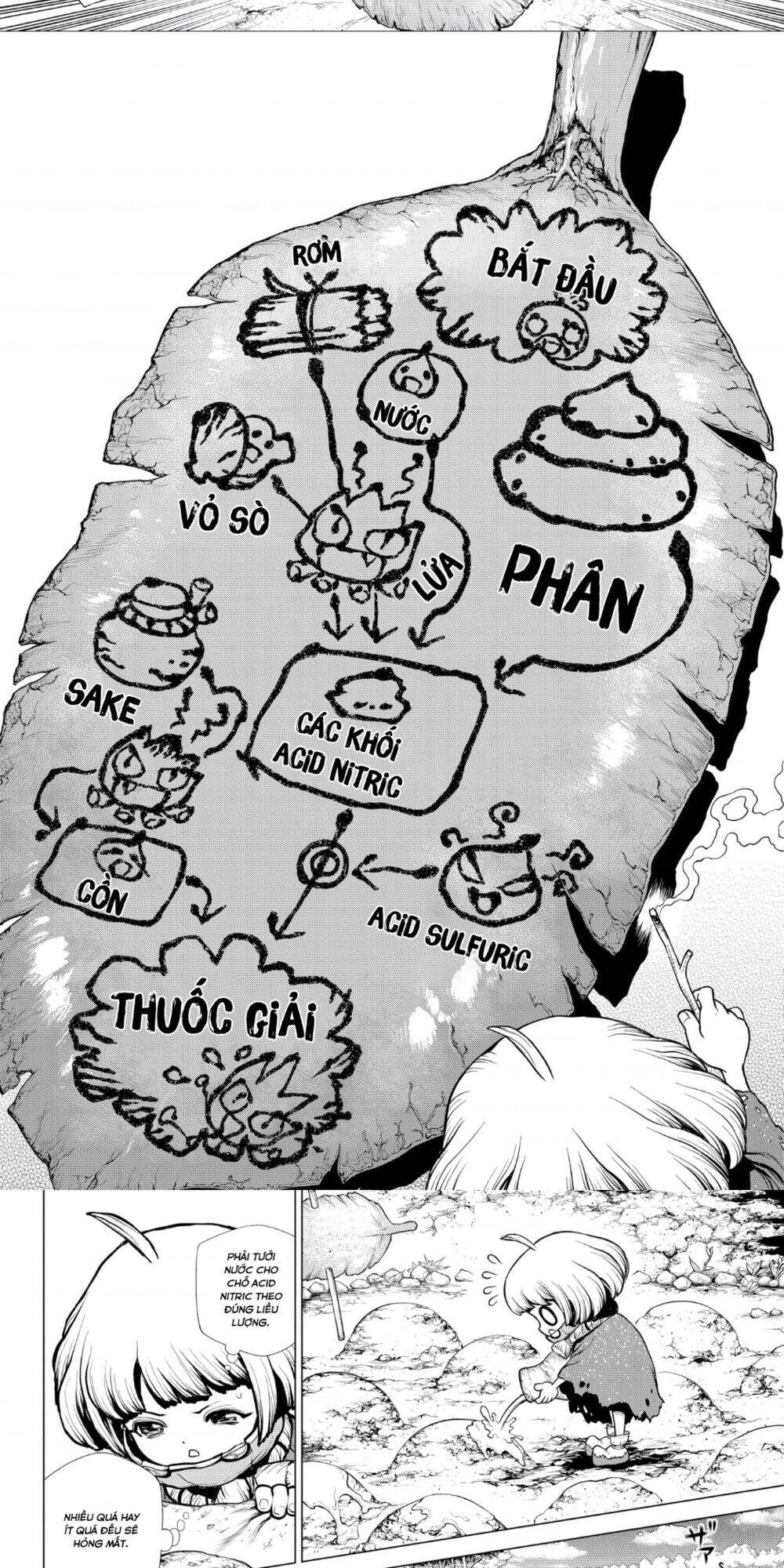 Dr.Stone Chapter 196 - Trang 2