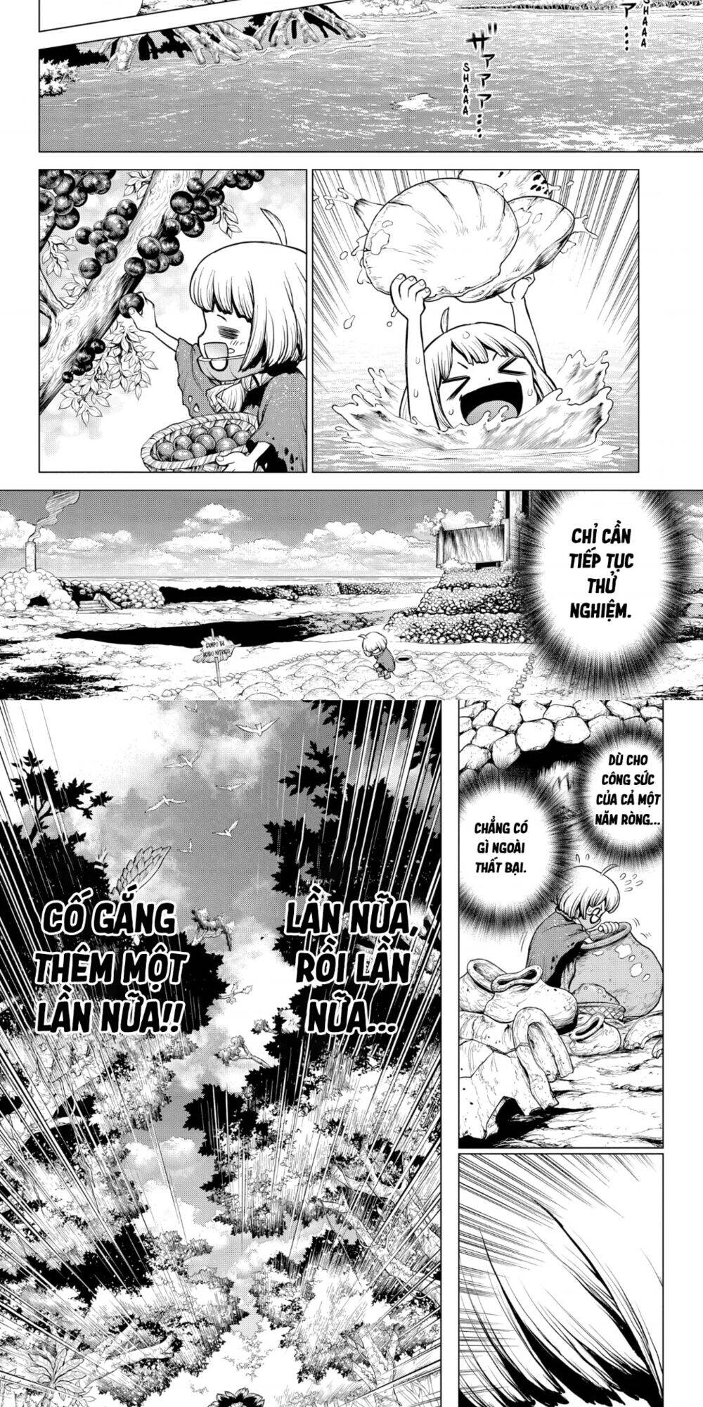 Dr.Stone Chapter 196 - Trang 2