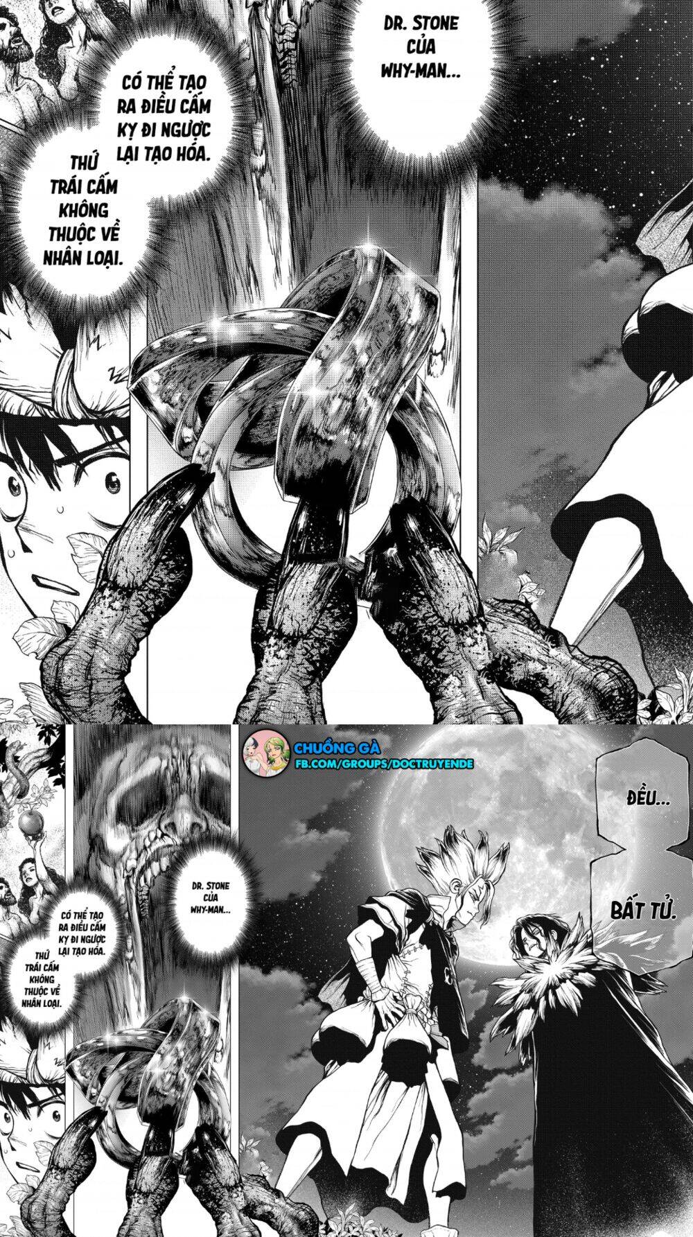 Dr.Stone Chapter 197 - Trang 2