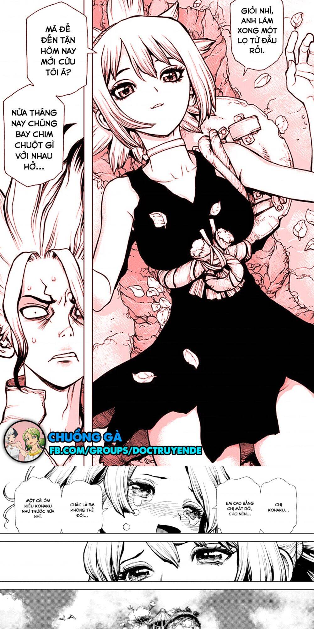 Dr.Stone Chapter 197 - Trang 2