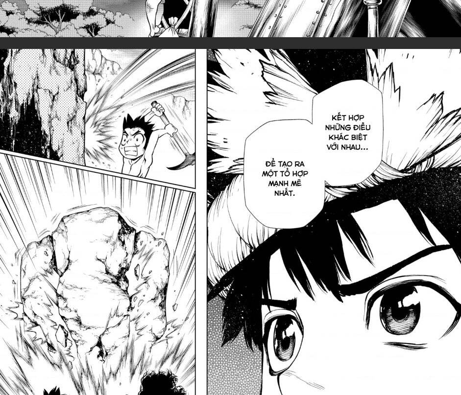 Dr.Stone Chapter 199 - Trang 2