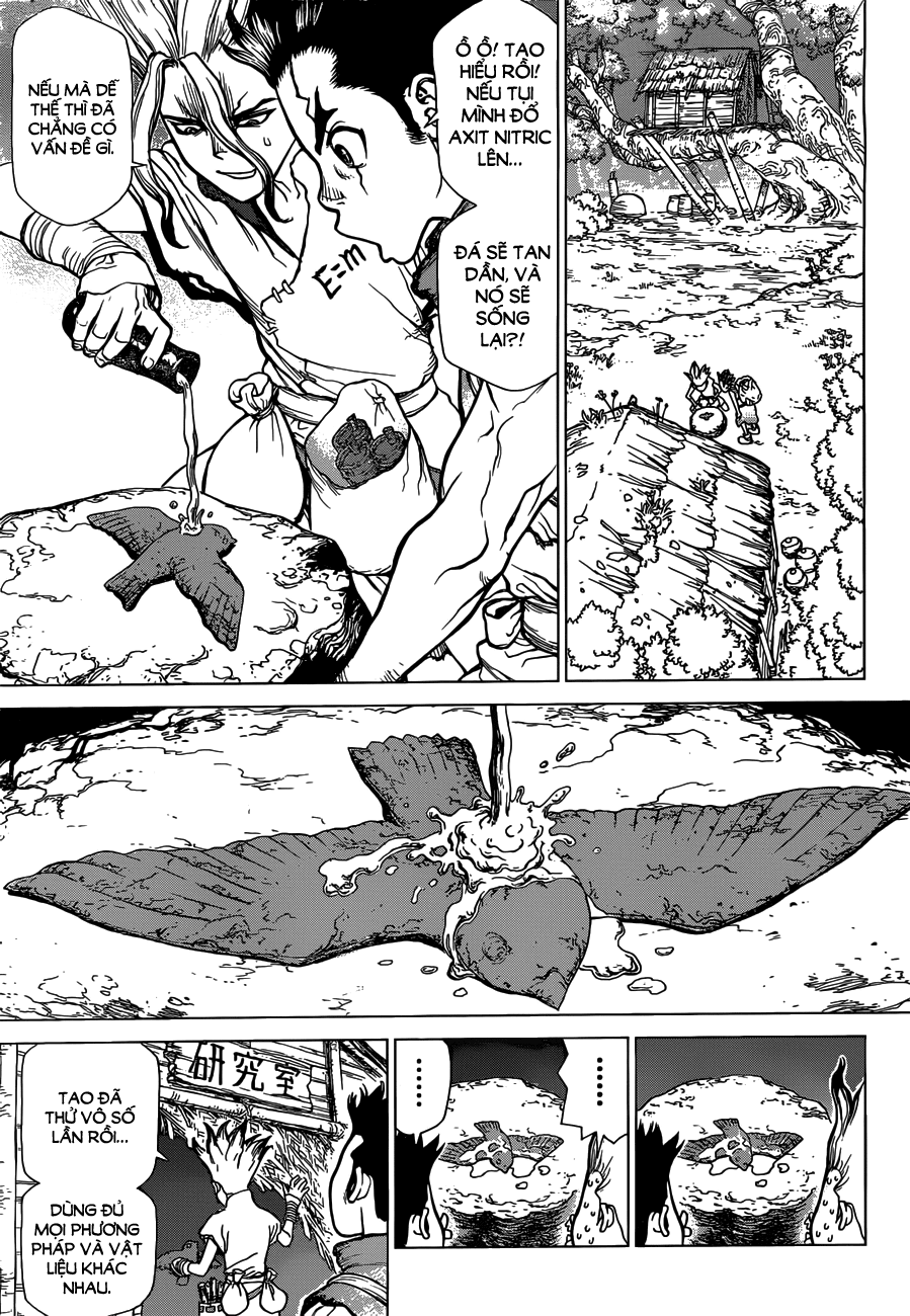 Dr.Stone Chapter 2 - Trang 2