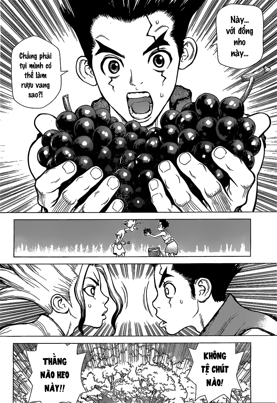 Dr.Stone Chapter 2 - Trang 2