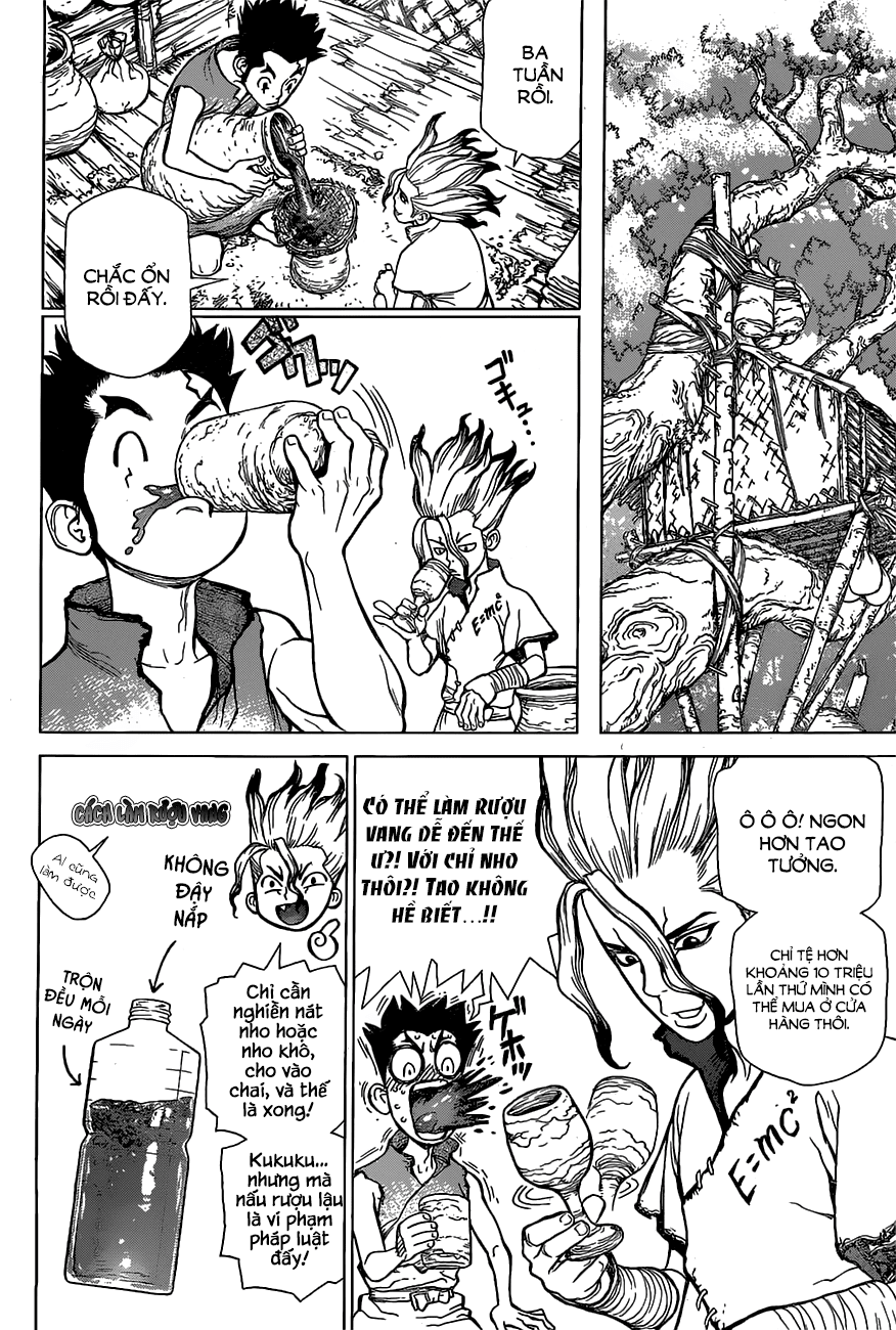 Dr.Stone Chapter 2 - Trang 2
