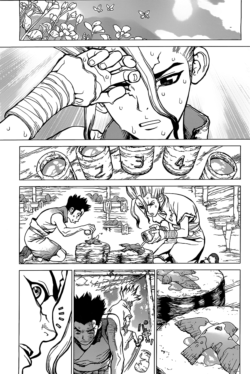 Dr.Stone Chapter 2 - Trang 2