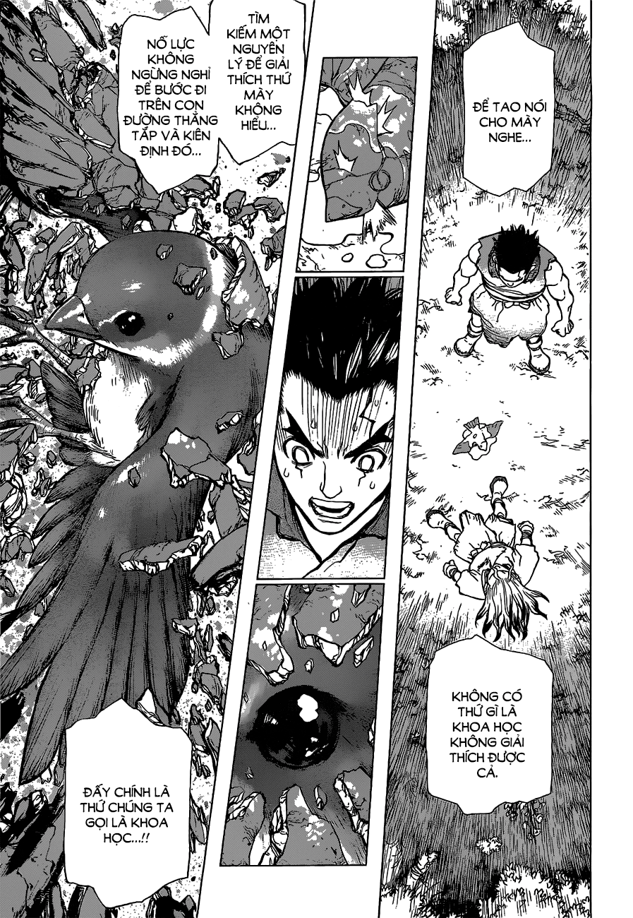 Dr.Stone Chapter 2 - Trang 2