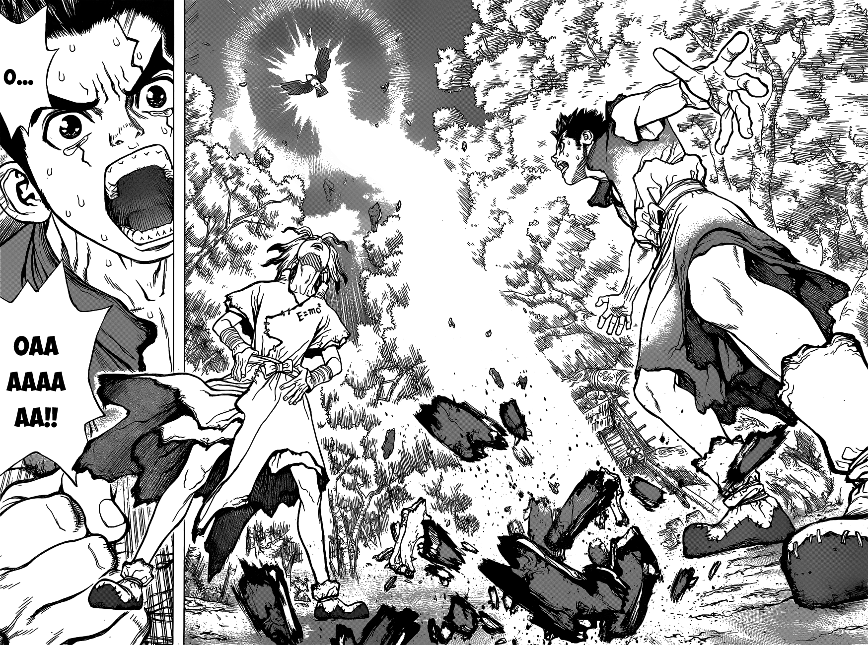Dr.Stone Chapter 2 - Trang 2