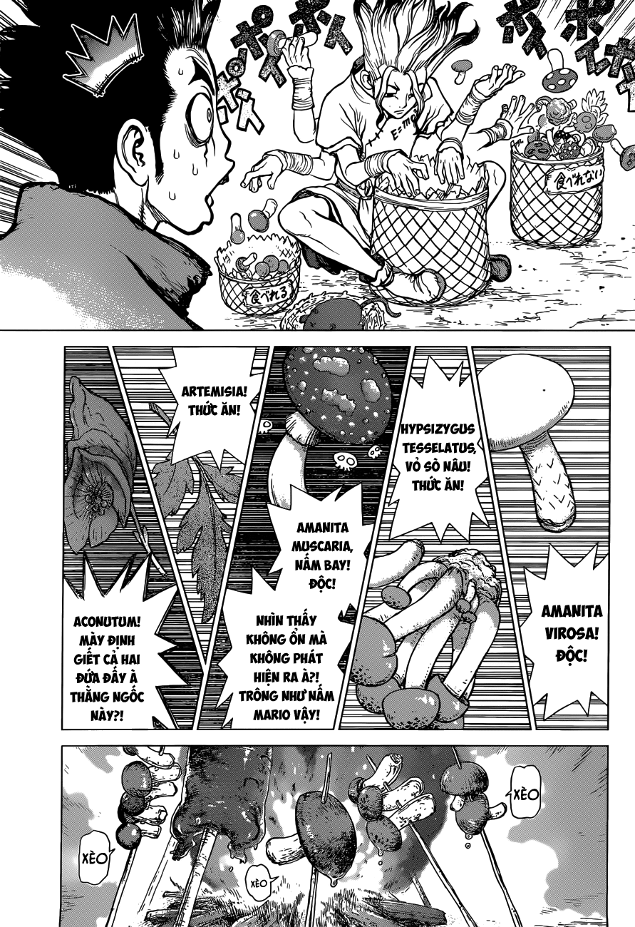 Dr.Stone Chapter 2 - Trang 2