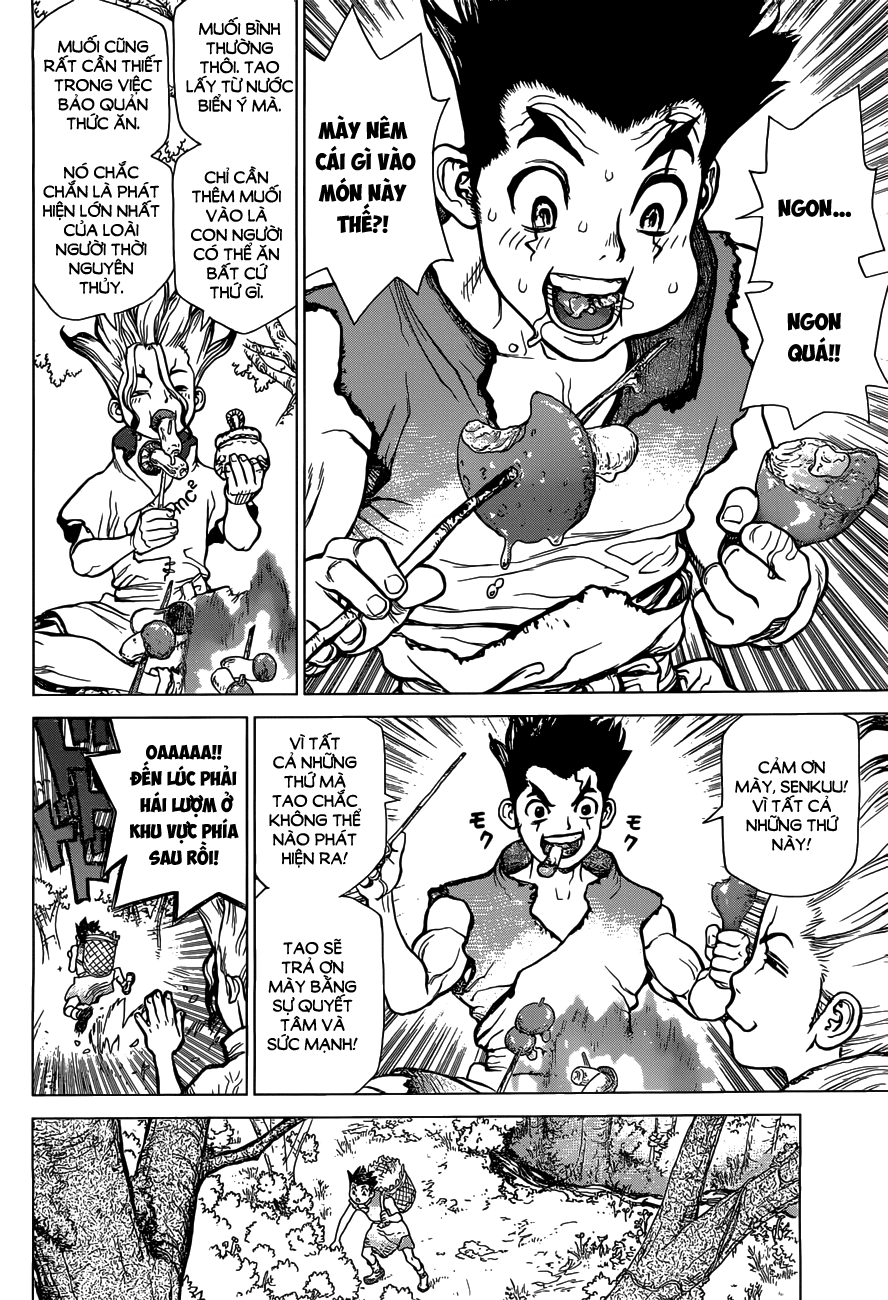Dr.Stone Chapter 2 - Trang 2
