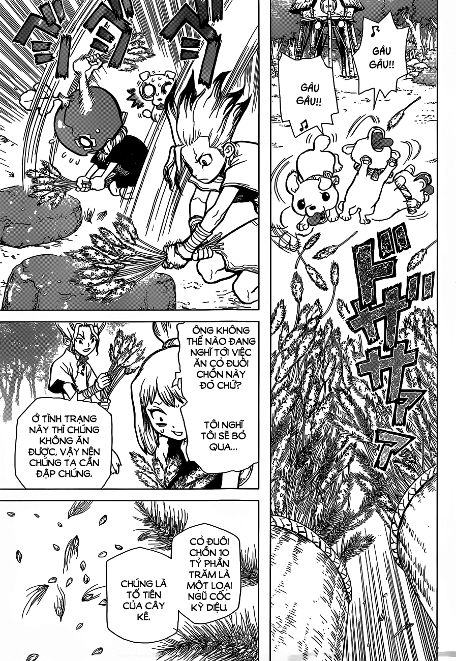 Dr.Stone Chapter 22 - Trang 2