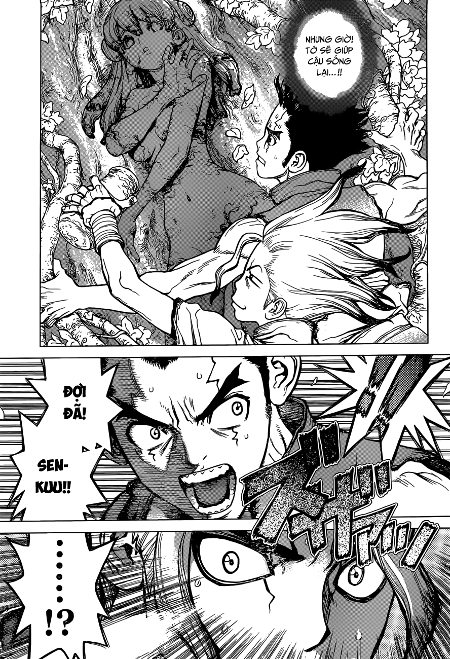 Dr.Stone Chapter 3 - Trang 2