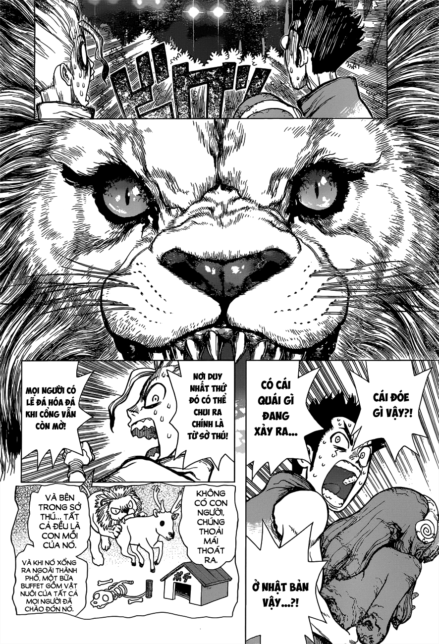 Dr.Stone Chapter 3 - Trang 2