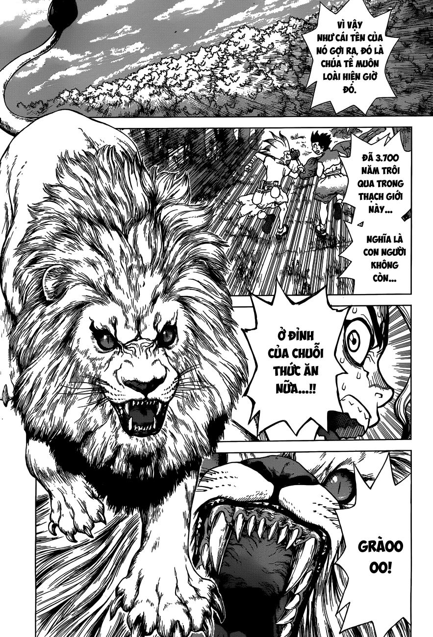 Dr.Stone Chapter 3 - Trang 2