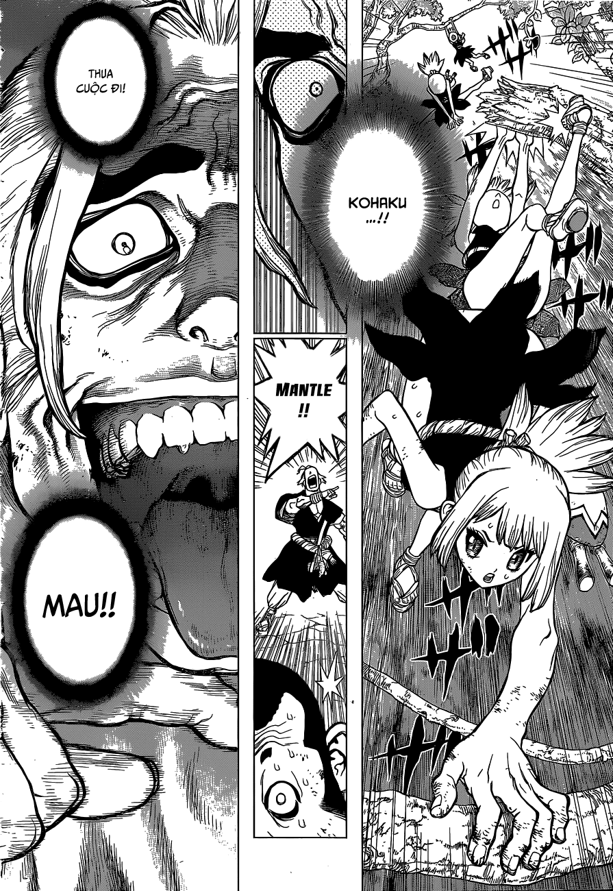 Dr.Stone Chapter 36 - Trang 2