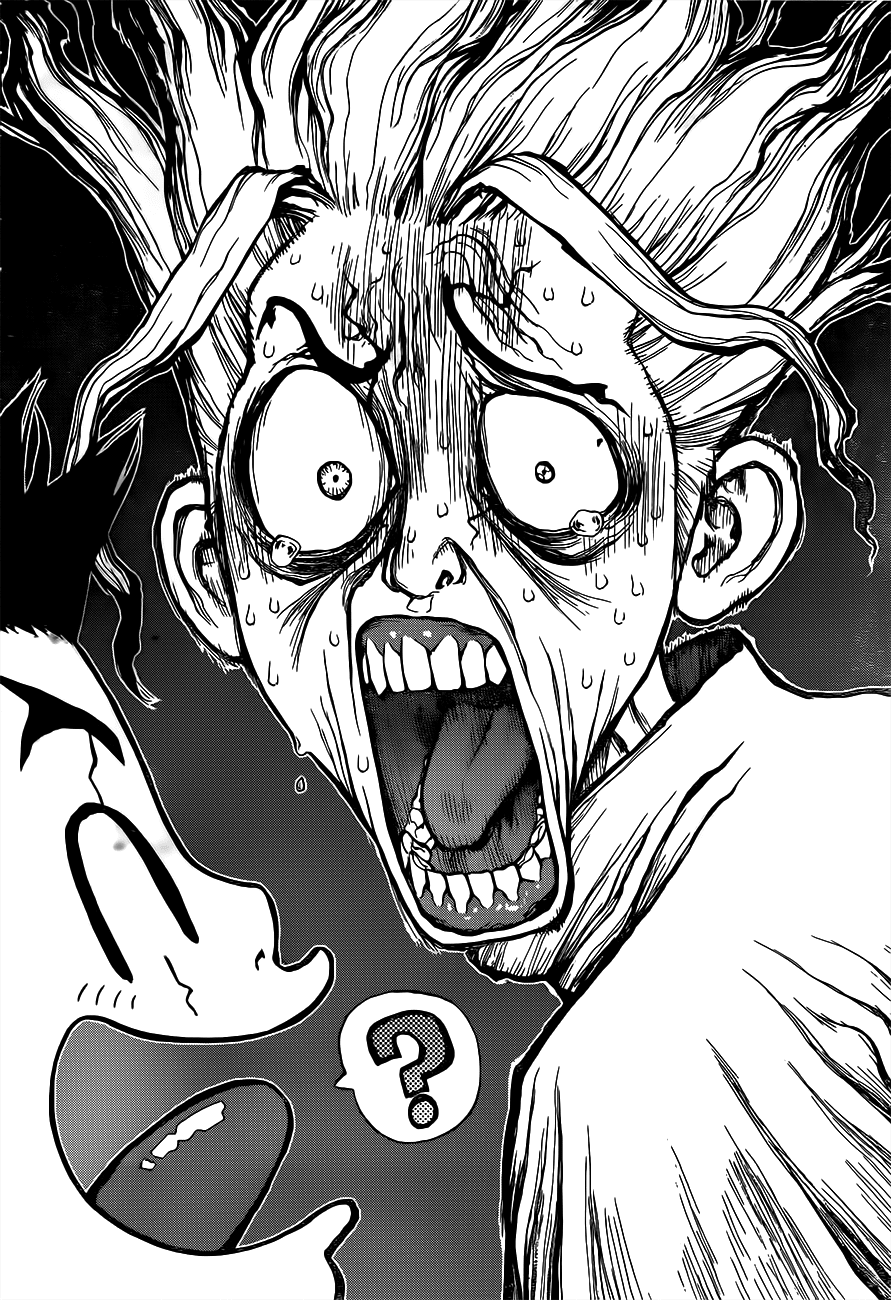 Dr.Stone Chapter 5 - Trang 2