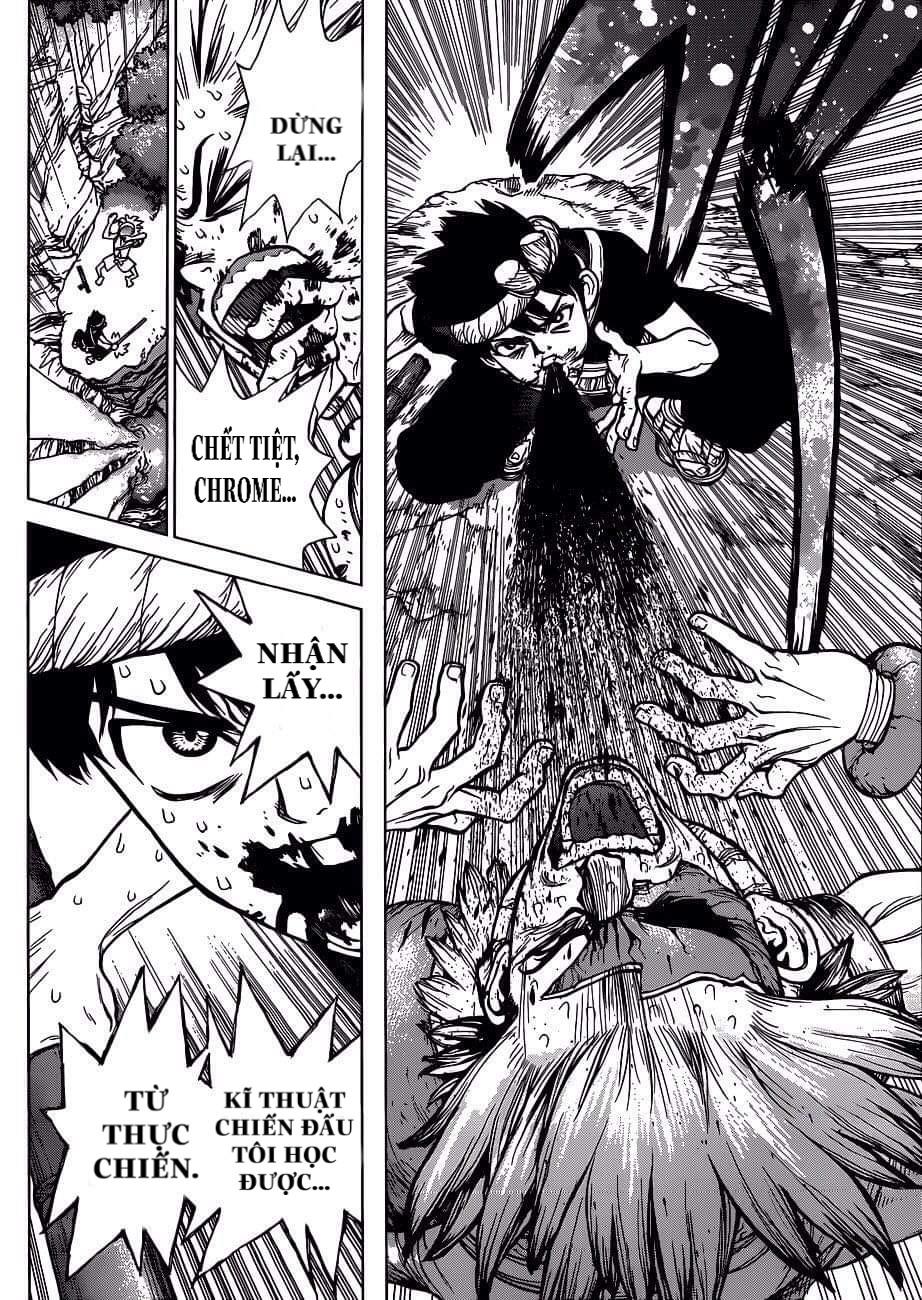 Dr.Stone Chapter 72 - Trang 2