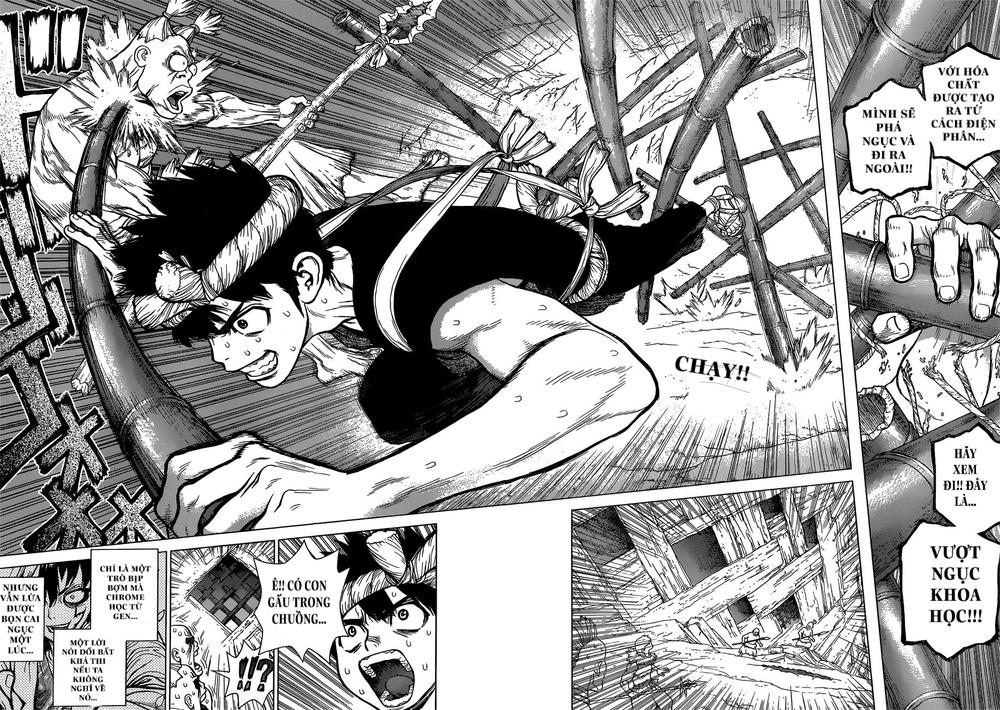 Dr.Stone Chapter 72 - Trang 2
