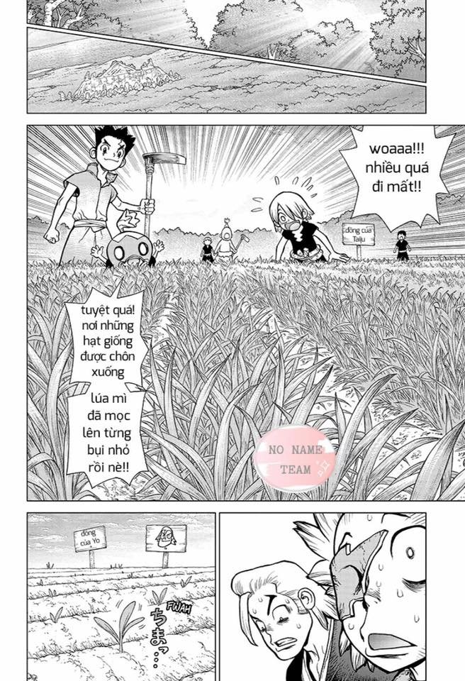 Dr.Stone Chapter 91 - Trang 2
