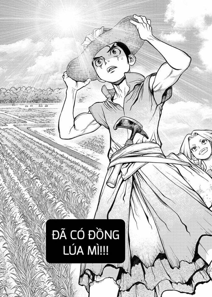 Dr.Stone Chapter 91 - Trang 2
