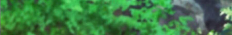 Druid Tại Ga Seoul Chapter 11 - Trang 2