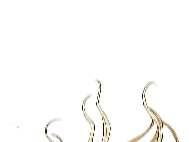 Druid Tại Ga Seoul Chapter 15.5 - Trang 2