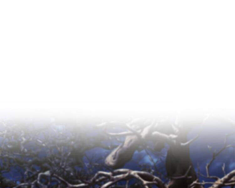 Druid Tại Ga Seoul Chapter 27 - Trang 2