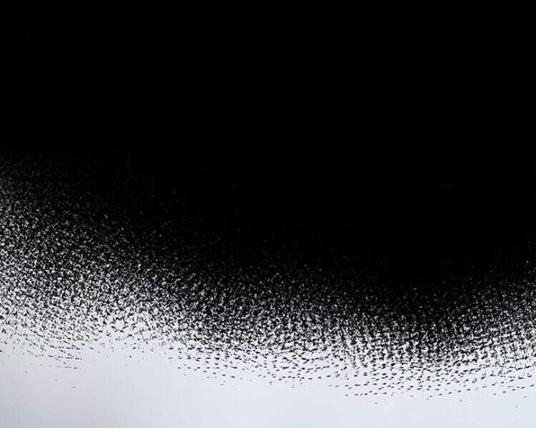 Druid Tại Ga Seoul Chapter 29 - Trang 2