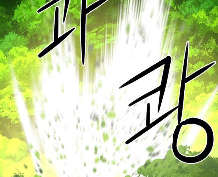 Druid Tại Ga Seoul Chapter 39 - Trang 2