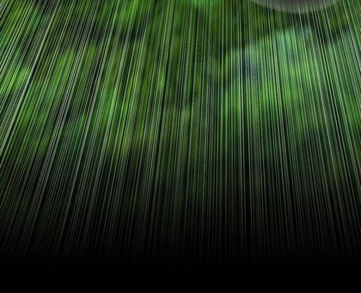 Druid Tại Ga Seoul Chapter 39 - Trang 2