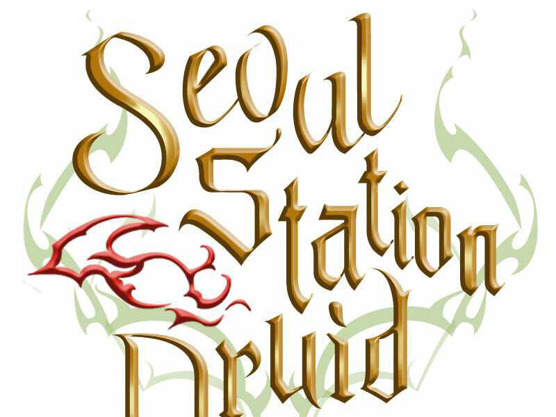 Druid Tại Ga Seoul Chapter 48 - Trang 2