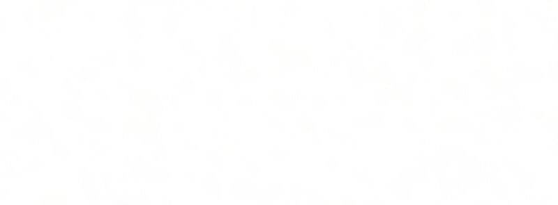 Druid Tại Ga Seoul Chapter 51 - Trang 2