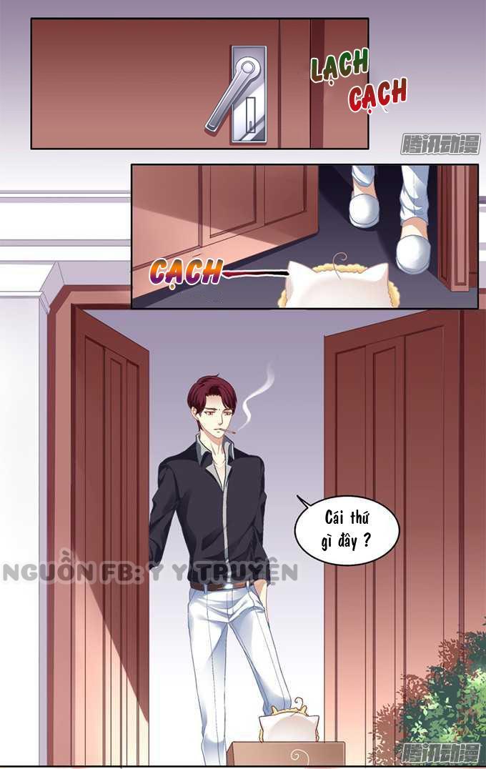 Dụ Hoặc Miêu Yêu Chapter 1 - Trang 2