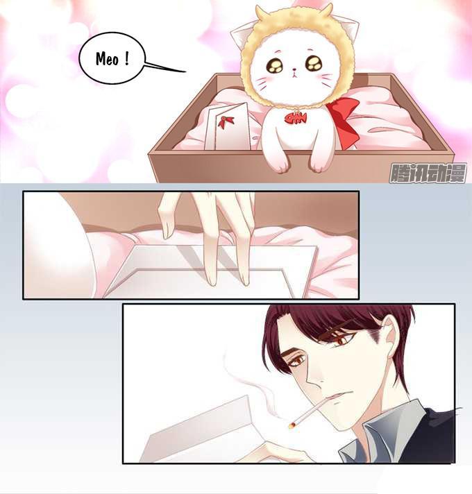 Dụ Hoặc Miêu Yêu Chapter 1 - Trang 2