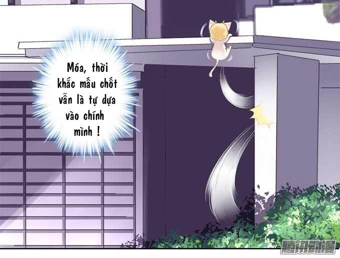 Dụ Hoặc Miêu Yêu Chapter 1 - Trang 2