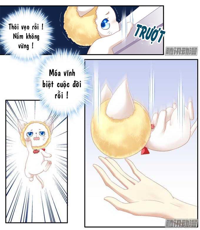 Dụ Hoặc Miêu Yêu Chapter 1 - Trang 2