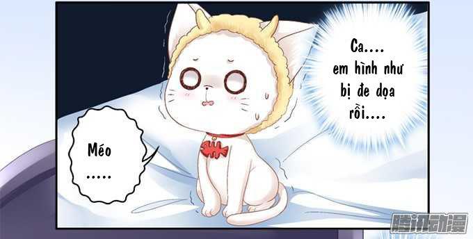 Dụ Hoặc Miêu Yêu Chapter 1 - Trang 2