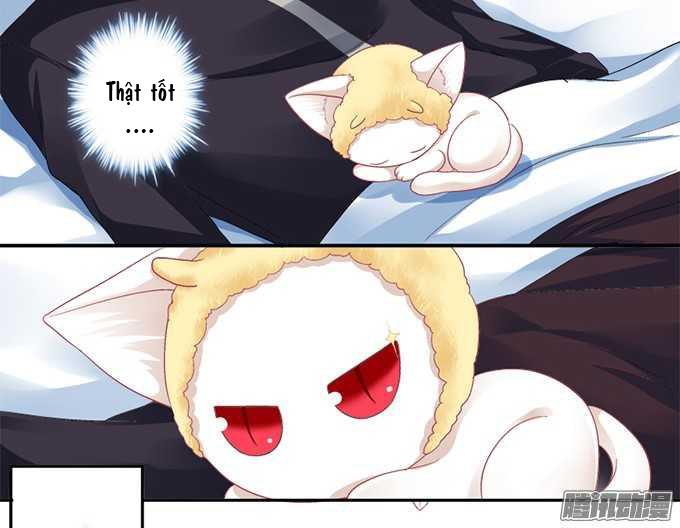 Dụ Hoặc Miêu Yêu Chapter 1 - Trang 2