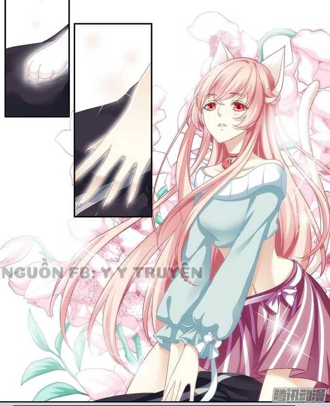 Dụ Hoặc Miêu Yêu Chapter 1 - Trang 2